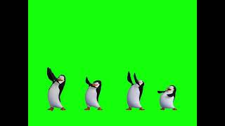 Greenscreen Dancing Penguins of Madagascar [upl. by Enytsuj617]