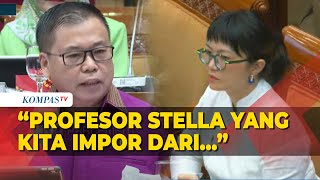 Anggota Komisi X DPR Sofyan Sebut Prof Stella Diimpor hingga Soroti Jumlah Guru Besar di Indonesia [upl. by Hannus]