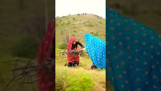 आदिवासीtsp aadivasiculture indigenousviral songtrendingaadivasi tsp aadivasiculture [upl. by Susannah]