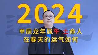 2024甲辰龙年 属牛、土命的人在春天的运势解析 [upl. by Seumas372]