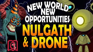 AQW BOT  NULGATH BIRTHDAY PET amp BOUNTY HUNTERS DRONE  GRIMLITE Li  GRIMLITE 13  New World [upl. by Auehsoj]