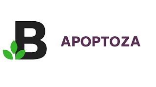 APOPTOZA  co to jest Przebieg apoptozy programowana śmierć komórki  KOREPETYCJE z BIOLOGII  38 [upl. by Giselle]