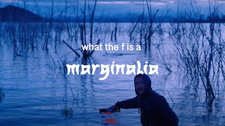 Marginalia  BTS Documentary [upl. by Ancell]