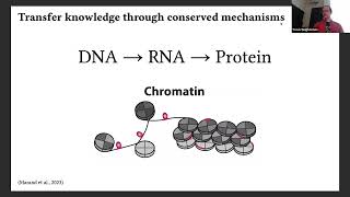 Travis Wrightsman  From Arabidopsis to Zea Learning conserved cis mechanisms of gene regulation [upl. by Aisylla]