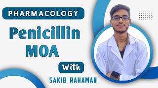 Mechanism of action of Penicillin  Beta lactam antibiotics  Cephalosporins  Pharmacology bangla [upl. by Bowerman]