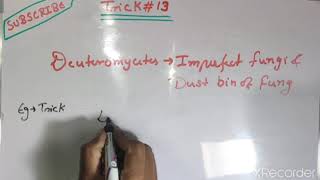 TRICK DEUTEROMYCETES EXAMPLE FUNGI BIOLOGICAL CLASSIFICATION TRICK [upl. by Akerdna]