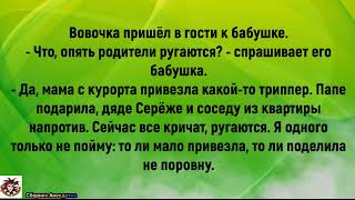 🌶️Мама с курорта привезла какойто трипперСборник Анекдотов📢Забавный Анекдот📢 [upl. by Ellehsad517]