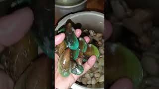 Unboxing Kerang Hijau [upl. by Arakahs]