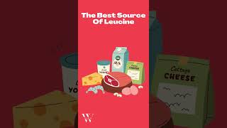 The Best Source Of Leucine shorts leucine aminoacids [upl. by Eenat238]