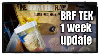 Instant Pot BRF Tek for Growing Mushrooms [upl. by Ydok]