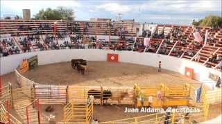 V Super Bull Juan Aldama Rodeo Zacatecas 2013 [upl. by Yffat]