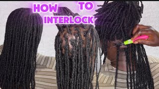 EASY AND SAFEST WAY TO INTERLOCK LOCS WITH A CROCHET NEEDLE LOC MAINTENANCE [upl. by Harmonie]