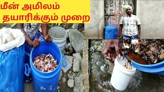 fish acid in Tamilfish acid fertilizerfish fertilizerfish fertilizer how to makefish acid amino [upl. by Assereht]