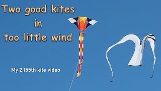 Two good kites in too little wind [upl. by Valley301]