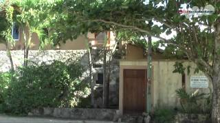 Living in Mexico Akumal Neighborhood Where Sea Turtles Live [upl. by Vasileior]