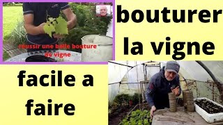 en février au jardin  les boutures de vigne à faire [upl. by Nylrehc]