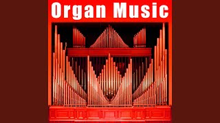 Funeral March Organ Theme [upl. by Lemrahs]