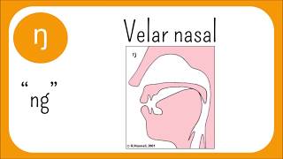 The Sounds Of English Episode 3 Nasals and Approximants Sonorants [upl. by Baseler]