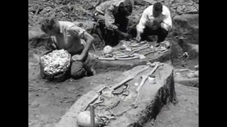 The Excavation of the Moundsville Alabama  Mississippian Culture Archaeological Site [upl. by Verla]