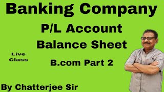 1 Banking Companies PL Account Format Bcom Part 2 [upl. by Lekkim933]