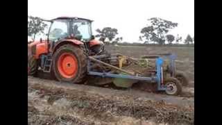 PLASTIC MULCH SWEEPER BY TATURA ENGINEERING 0408 241 998 [upl. by Syl]