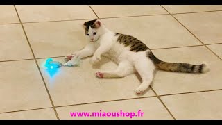 Vroum cats le jouet incontournable pour votre chat [upl. by Animor301]