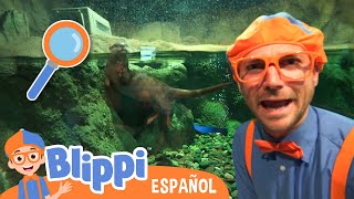 Blippi vista un acuario  Aprende con blippi  Videos educativos para niños [upl. by Airehc]