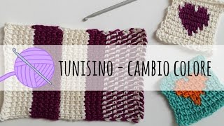 Tutorial uncinetto tunisino  cambio colore [upl. by Annaihr]