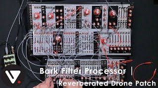 Bark Filter Processor  Reverberated Drone Patch [upl. by Rialcnis891]