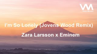 Zara Larsson x Eminem  Im So Lonely Jovens Wood Remix [upl. by Ariat832]