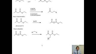 Acetoacetic ester synthesis [upl. by Ettenej]