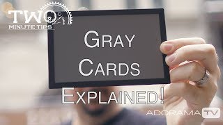 Using a Gray Card Two Minute Tips with David Bergman [upl. by Nnayt]