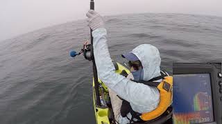 Fishing boils and jigging for rock fish in Redondo Beach [upl. by Burr]