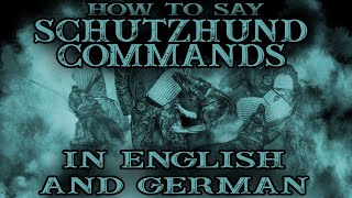 How to say every schutzhundIGPIPO dog training commands in English and German [upl. by Martguerita914]