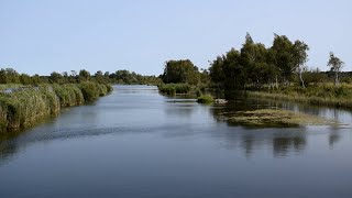 A la découverte de  Les marais de Sacy [upl. by Ellwood]