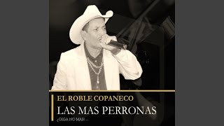 CORRIDO A EL PORVENIR [upl. by Jeramie]