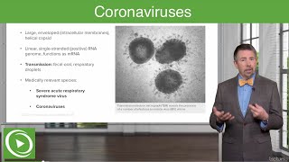 Severe Acute Respiratory Syndrome SARS and COVID19 – Coronaviruses  Lecturio [upl. by Spillihp]