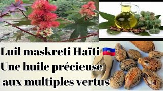 Lhuile maskreti Haïti 🇭🇹 💯 pur kisa li fè pou cheve ak po [upl. by Aidekal188]