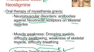 Pharmacology ANS Drugs Cholinesterase Inhibitors Lecture 3 Dr Saja Hamed [upl. by Eibrab]