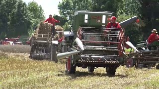 Schlüter Traktoren Feldtag Hallbergmoos  historisches Schlütertreffen  Mähdrusch [upl. by Seugirdor]