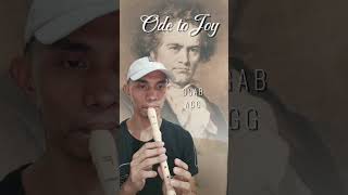 Ode to Joy  Ludwig Van Beethoven Recorder Tutorial ludwigvanbeethoven recorder flute tutorial [upl. by Nileuqcaj594]