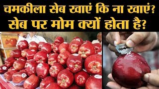 क्या होती है Apple Wax Coating जिसकी वजह से भड़क गए MInister Ram Vilas Paswan [upl. by Shirl]