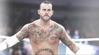 CM Punk quotMiseria Cantare The Beginningquot Arena  Crowd Effects [upl. by Barraza]