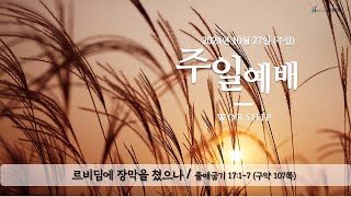 20241027 포도원교회 주일 낮 예배 [upl. by Ahsitram565]