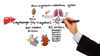 Pharmacology  HYPERTENSION amp ANTIHYPERTENSIVES MADE EASY [upl. by Cash]