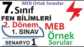 7 Sınıf Fen Bilimleri 2 Dönem 1 Yazılı Örnek Senaryo Çözümleri  Senaryo 1  MEB Örnek Sınav Soru [upl. by Eeimaj93]