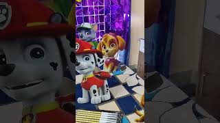 Paw patrol birthday celebration 🎊🎉 viral birthdaycelebration pawpatrol love fans [upl. by Auehsoj]