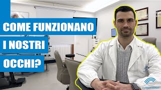 COME FUNZIONANO I NOSTRI OCCHI  Fisiologia oculare [upl. by Clayberg383]