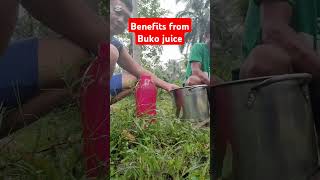 benefits bukojuice yt [upl. by Leind]