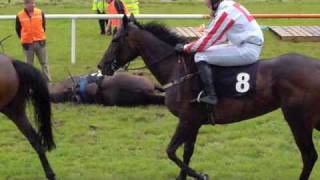 A Horse Falls at the Sligo Races County Sligo Ireland [upl. by Phillipe]